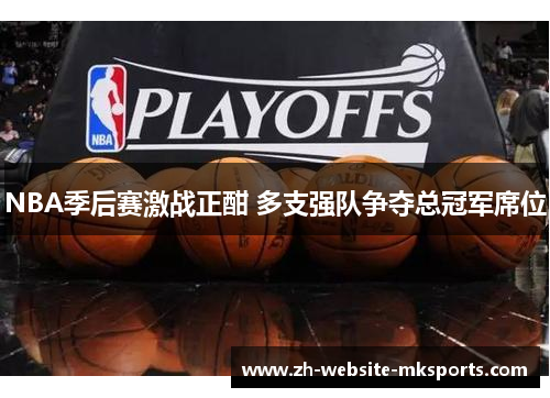 NBA季后赛激战正酣 多支强队争夺总冠军席位